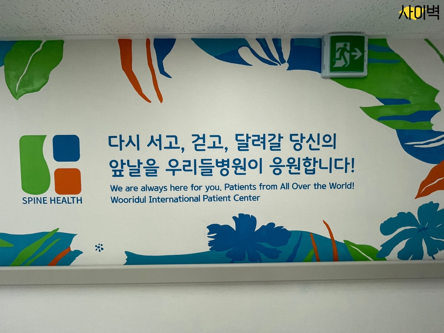 청담 우리들병원 벽화 시공 사진 4